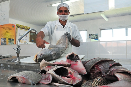 Semana Santa aquece vendas no Mercado do Peixe