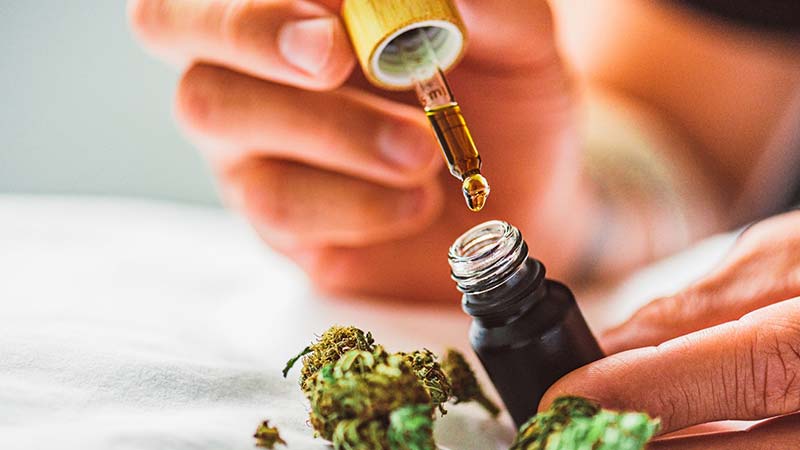 Vendas de produtos à base de Cannabis nas farmácias brasileiras tiveram uma expansão