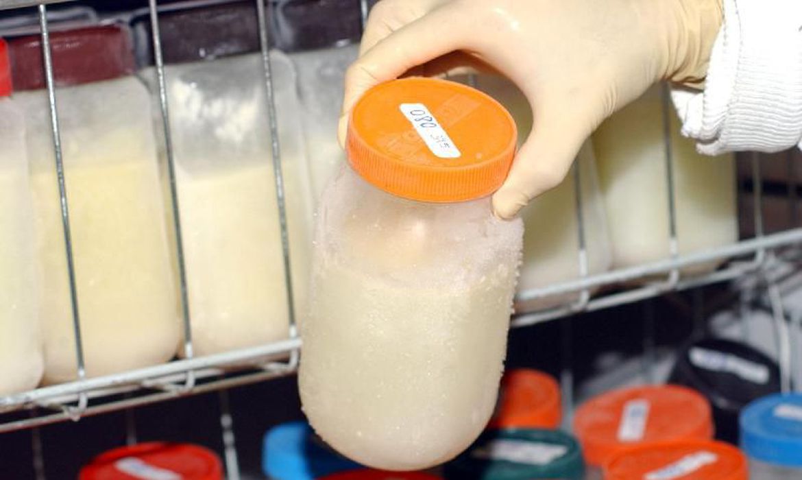 DF precisa aumentar número de doações de leite materno