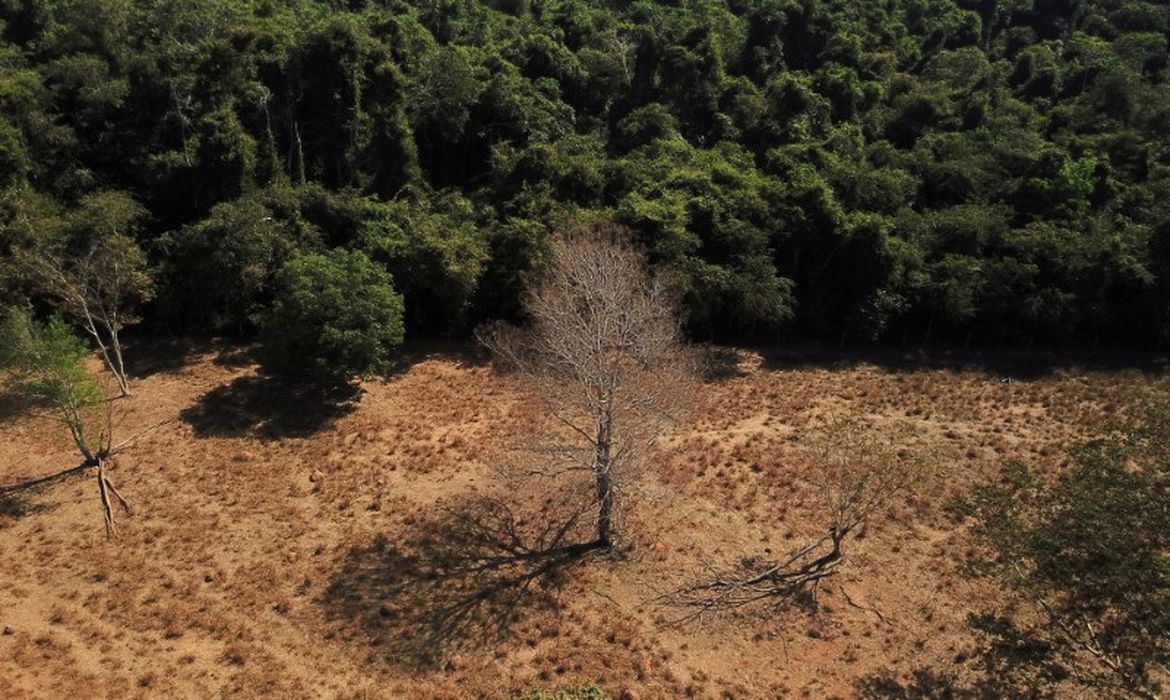 Desmatamento em terras indígenas provocou emissão de CO2 na Amazônia