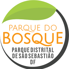Domingo no Parque reúne programação cultural gratuita em São Sebastião